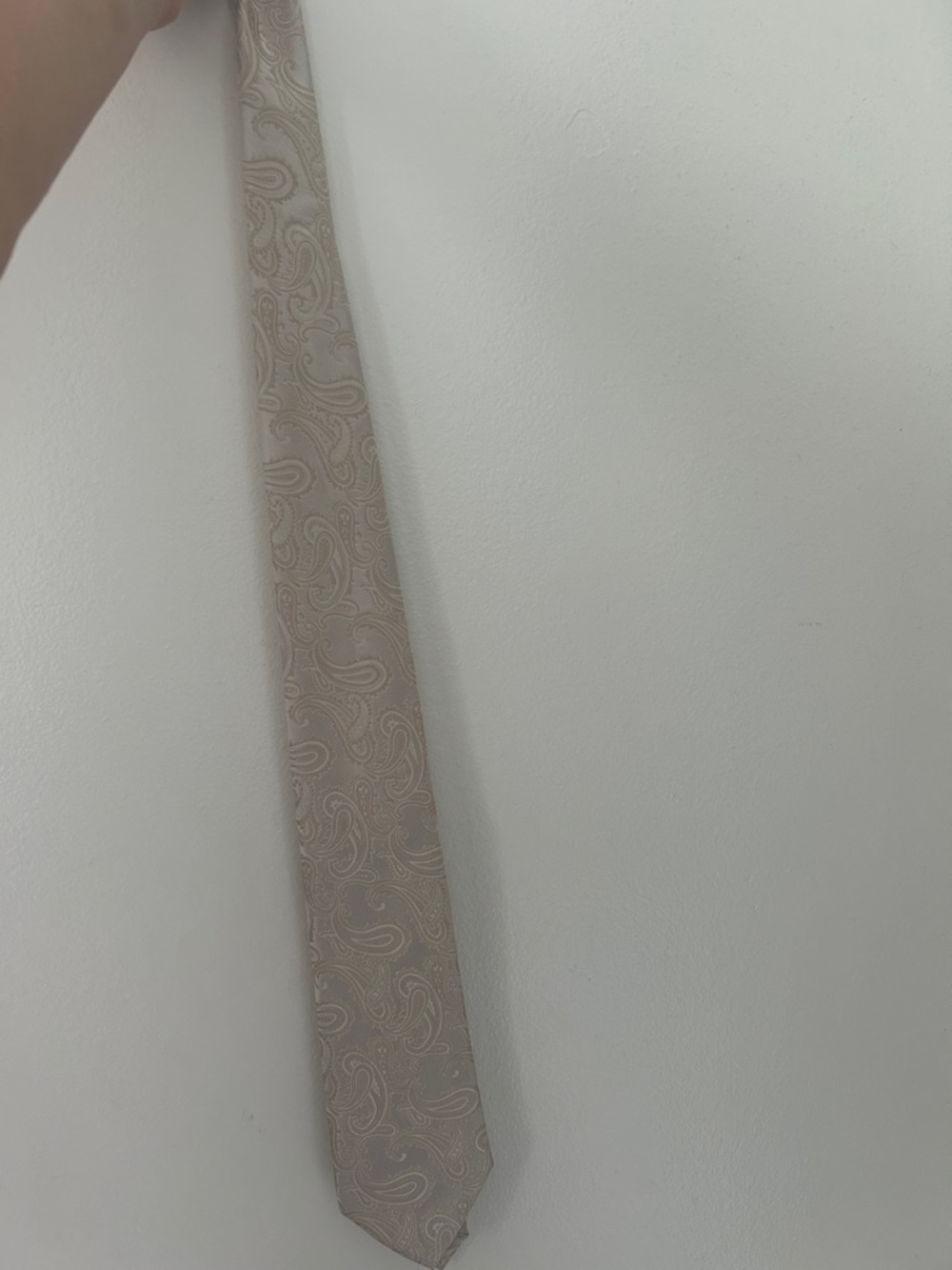 Men's Paisley Neck Tie in Light Beige - Classic Formal Accessory